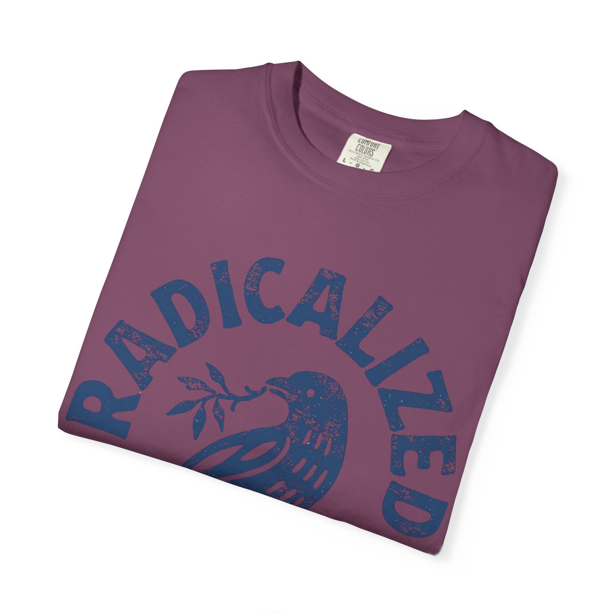 Radicalized Jesus T-Shirt