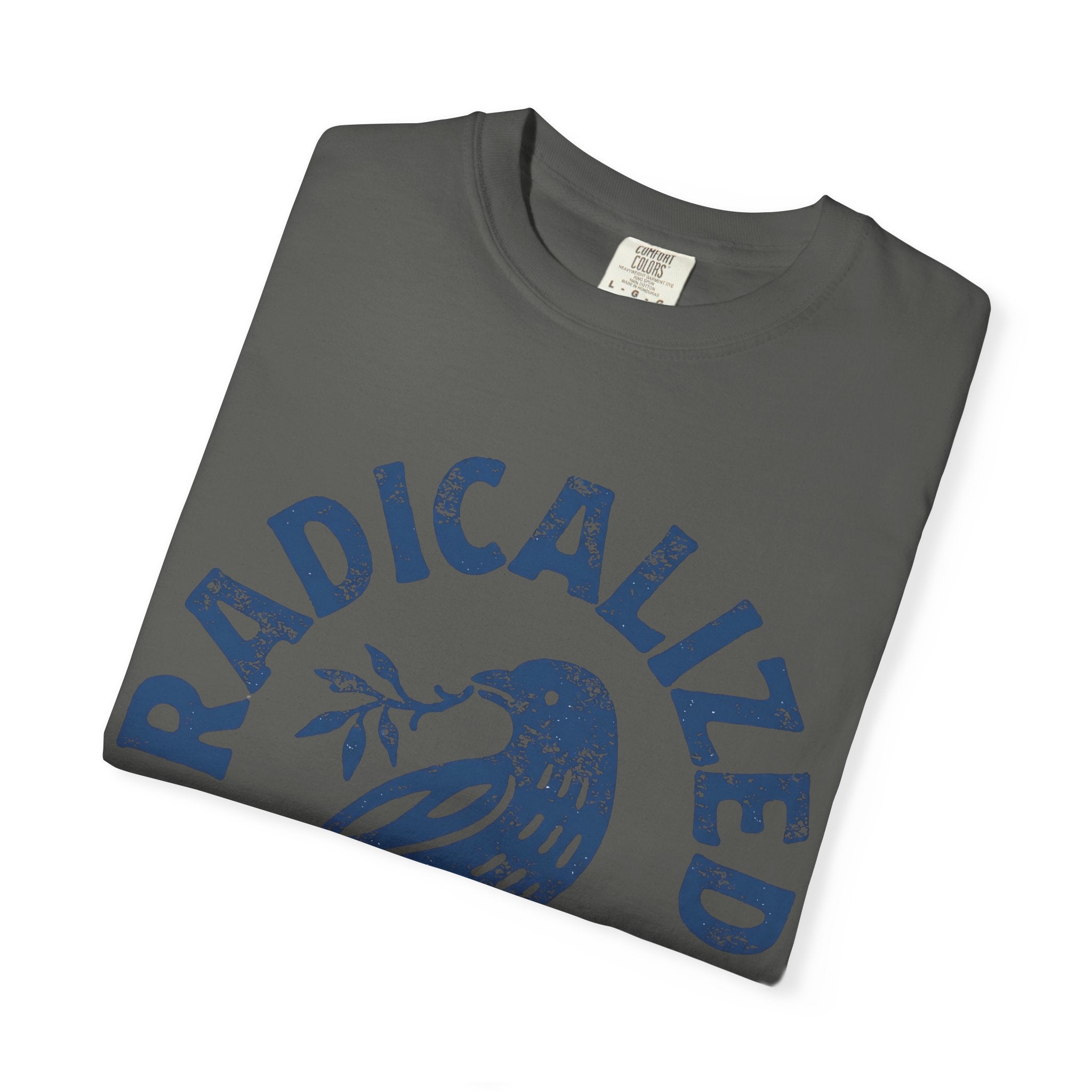 Radicalized Jesus T-Shirt